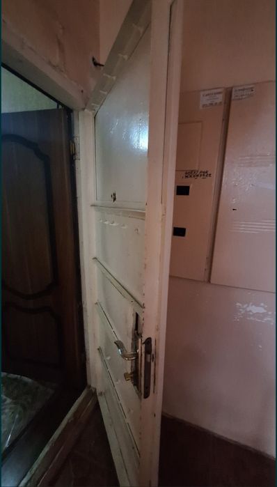 Двер, темрли Эшик (железный)