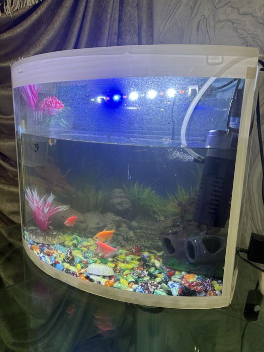 Akvarium sotiladi