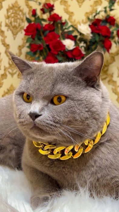 ВЯЗКА !Привозной Клубный Кот