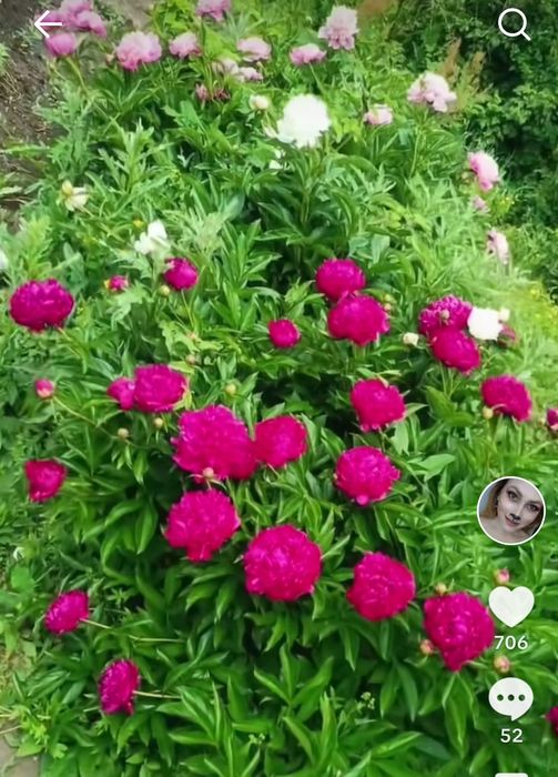 Продам Дачу в Белоусовке