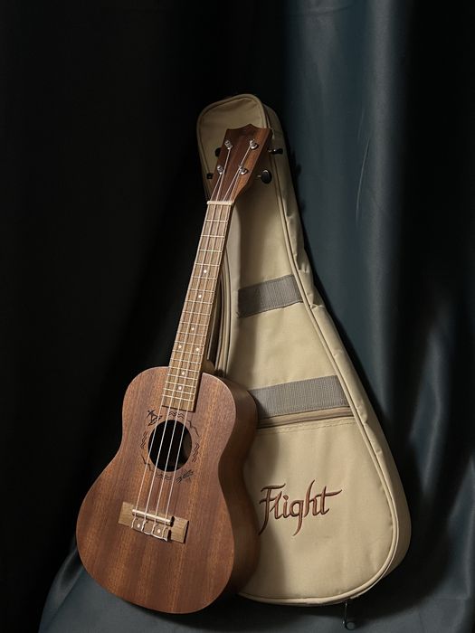 Укулеле Flight NUC 310 Brown + чехол