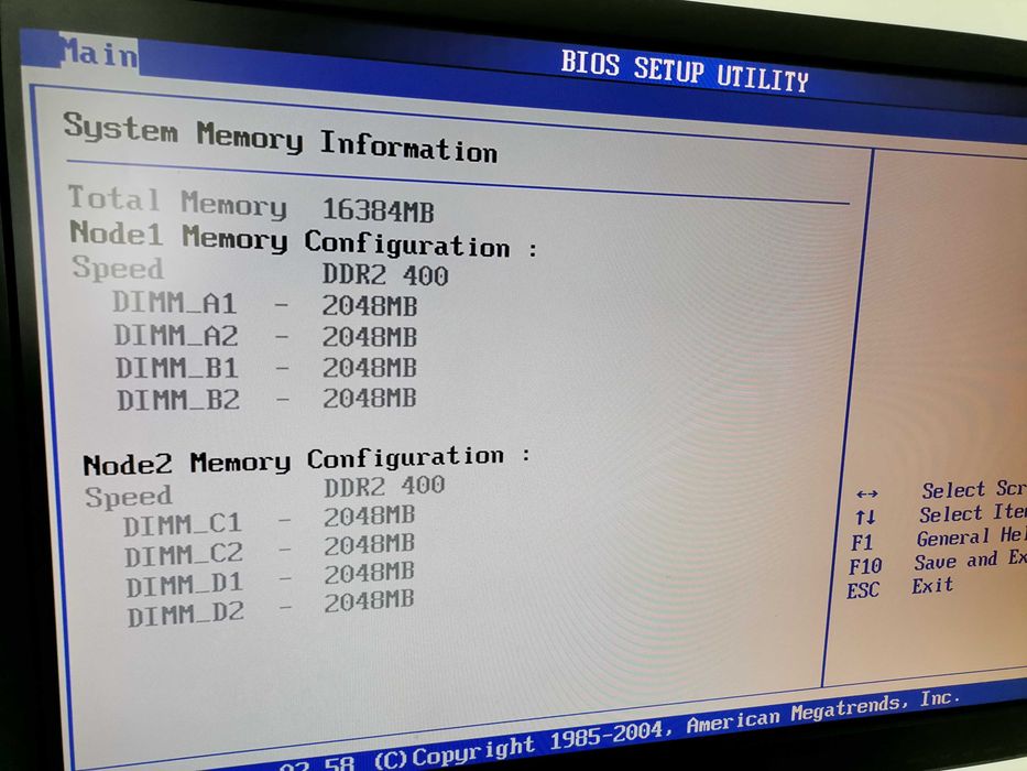 Server Asus RS161-E4 dual CPU Opteron + 8x2Gb - 16 Gb Ram