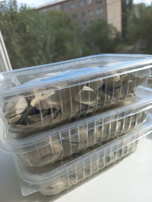 Уральская глина Астана