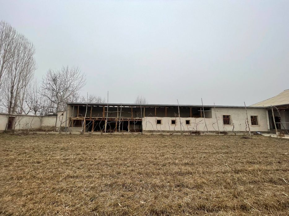 Арентр  Кушчи, парчайуз, 5 - Чи