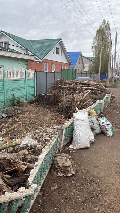 Отдам дровишки спил дерева