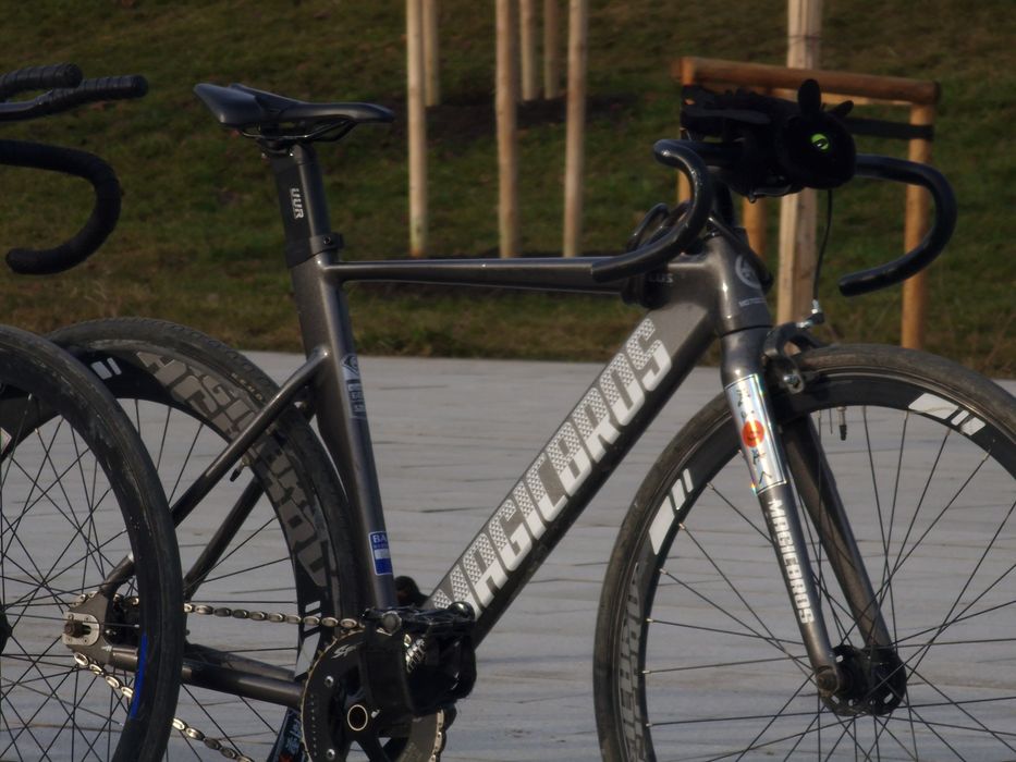 Фикс/feaxed gear  magickbros