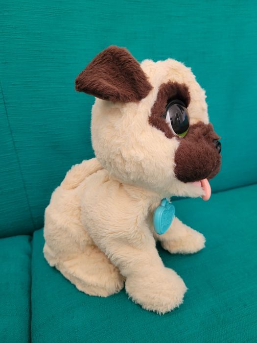 Plus interactiv Furreal catel