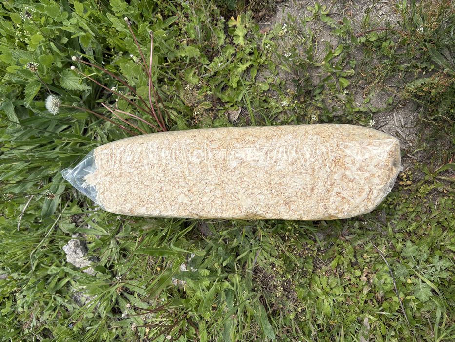 Талаш за животни – чист, сух и екологичен