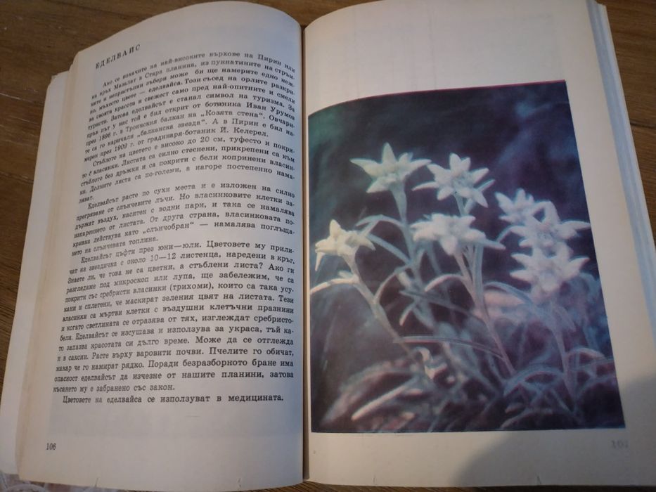 Енциклопедия за растения и животни