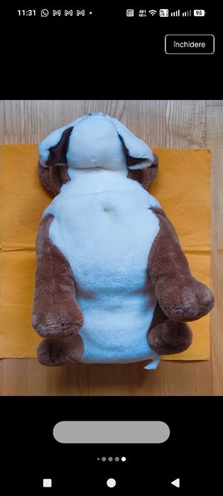 Caine din plus( buldog)