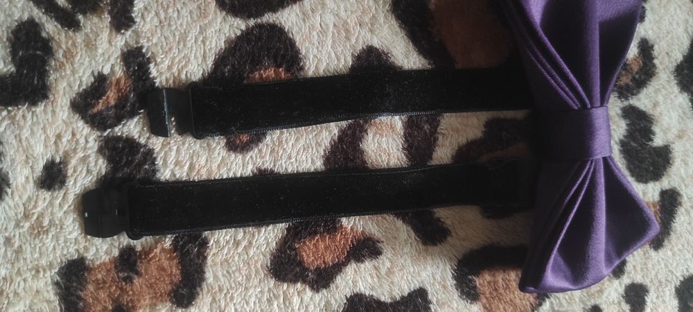 Papion mov purtat odată