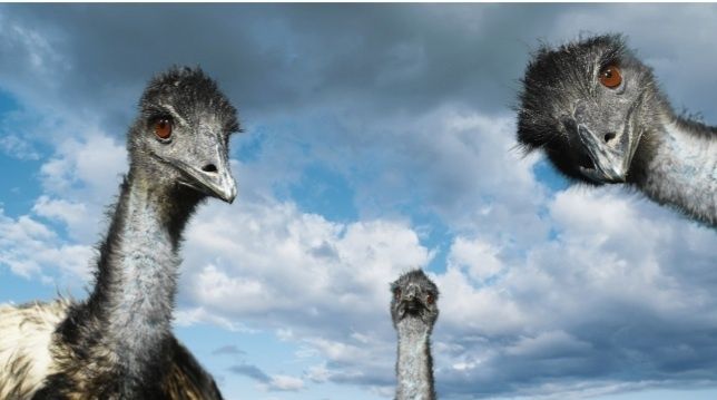 Мъжко ему на 4г.