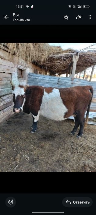 Dhdhdhffhfhffufuffufu