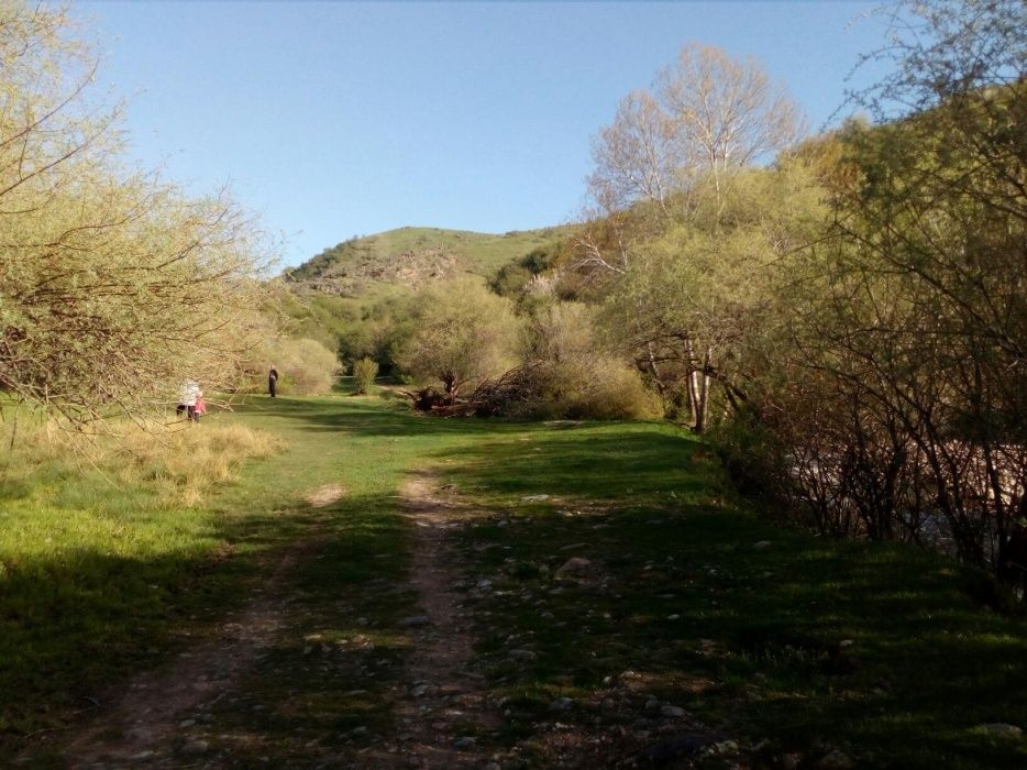 Земельный участок под бизнес