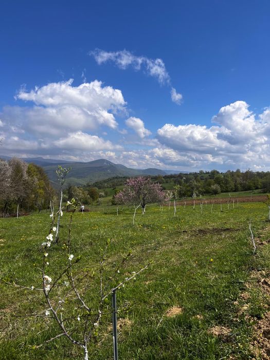 Vând casă cu teren intravilan