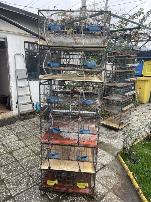 Cuști pentru prepelite