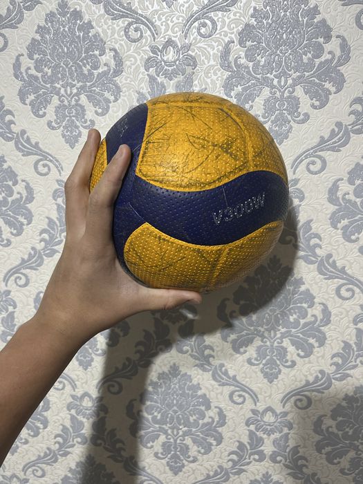 Волейбольный мяч