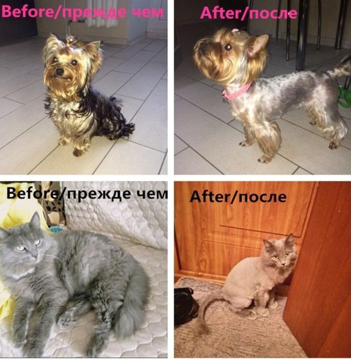 Безшумна машинка за подстригване на домашни любимци Baorun P2