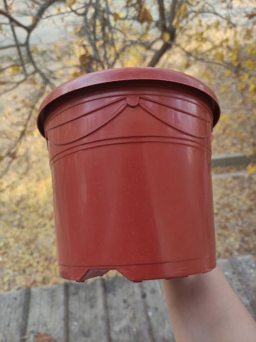 горшки для цветов и растений