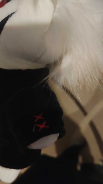 zxc кот как у курседа