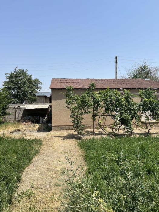 Дродаётся дача в стороне племсовхоза…