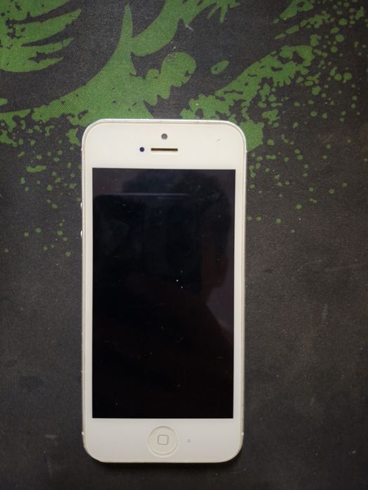 Iphone 5 ili mishka igravoy