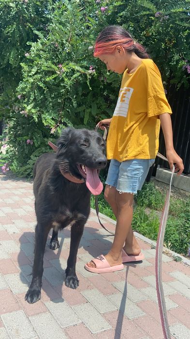 Белла ищет семью