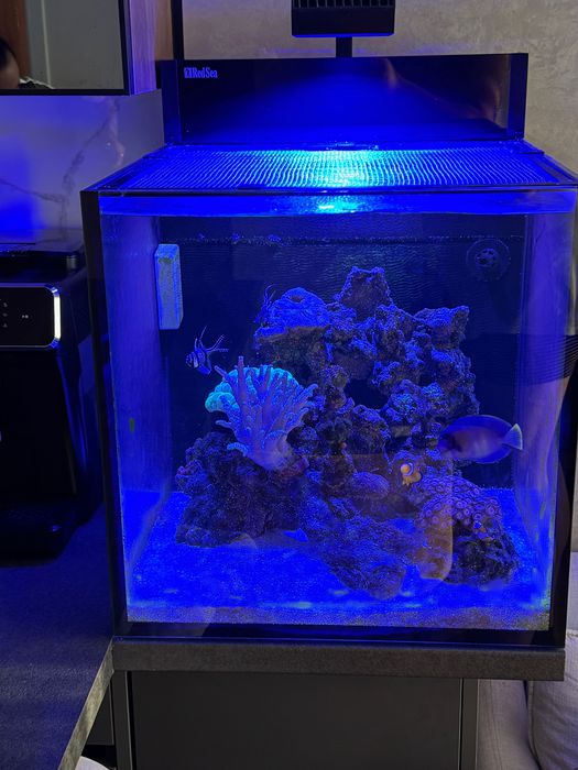 Морски аквариум Red Sea Maxx Nano G2 XL