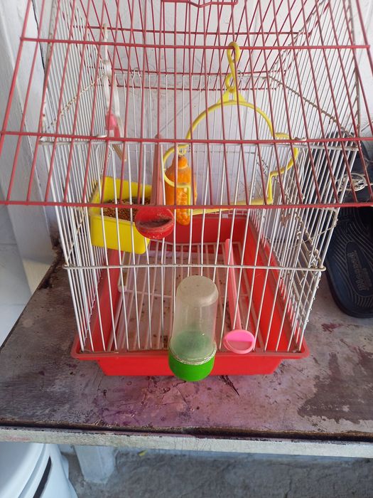 Клетка для птицы