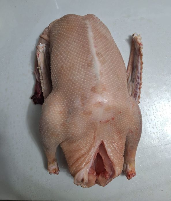 Продам мясо гуся