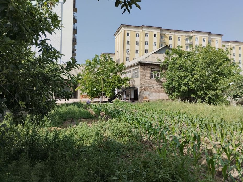 Уй сотилади ,денов туманида,