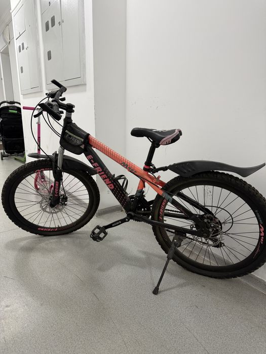 Велосипед E-FRIEND M987