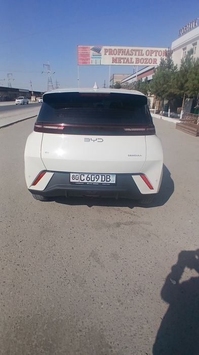 Byd seagul  сотилади