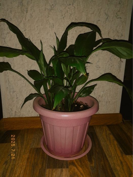 Очень много разных вещей.  1000 мелочей