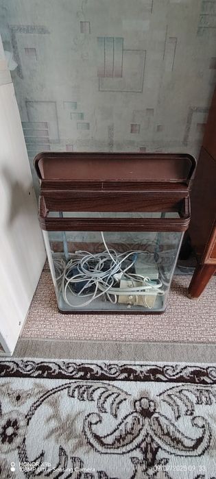 2 аквариума на 240л и на 30л