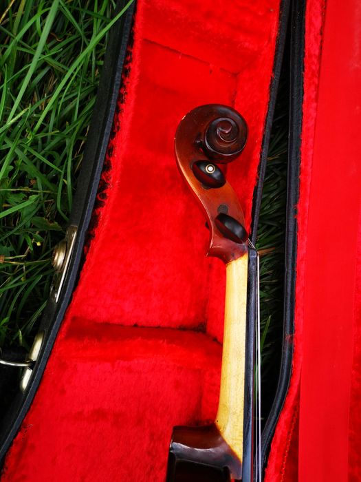 Vioara Germana Heinrich (Harry) Müller  Dark varnish.