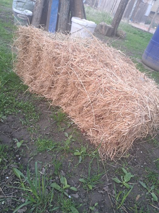 Baloți de fân 2025