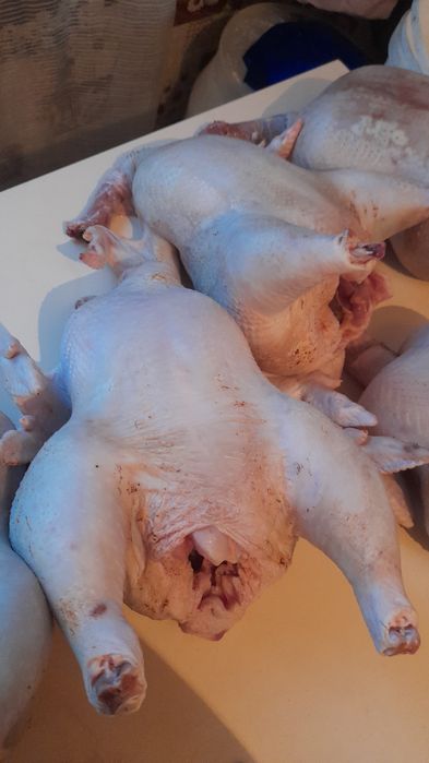 Куры бройлеры домашние мясо