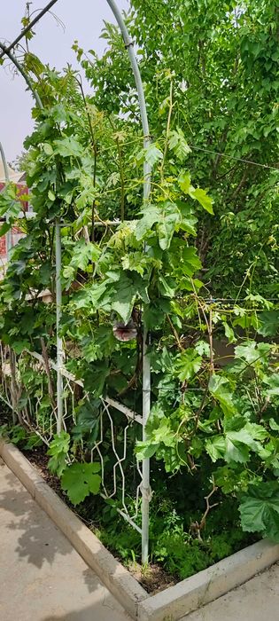 Коттедж угловой продается