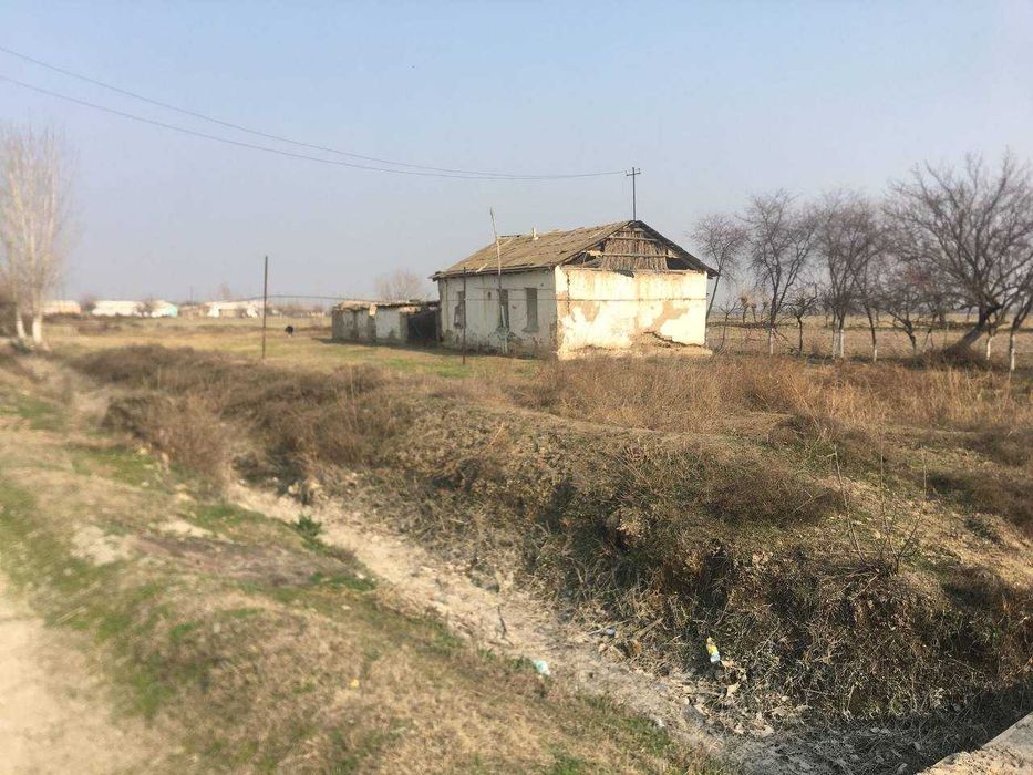 Земля более 60 соток