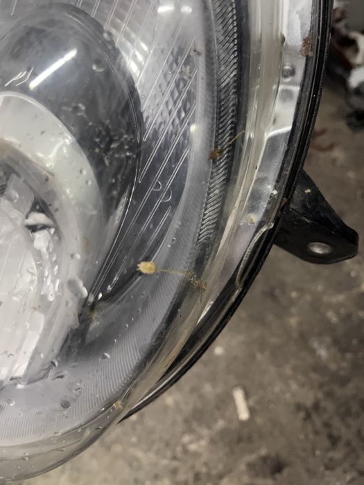 Халоген Fiat 500X