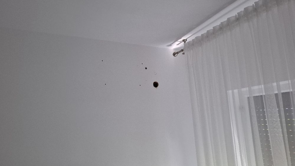 Montaj instalare  igienizare mentenanta AER CONDITIONAT