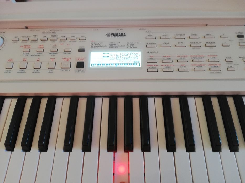 Vand orga Yamaha EZ-310