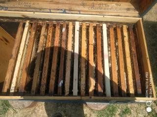 Ящик для пчеловодства