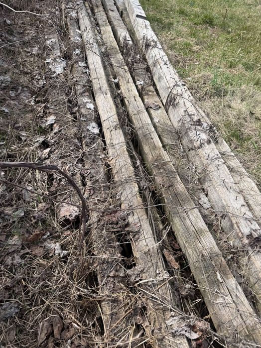 Vand lemne foc, stejar si brad