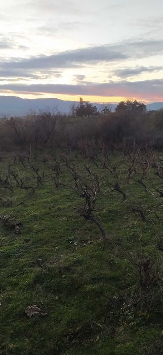 Вилен Имот Карлово