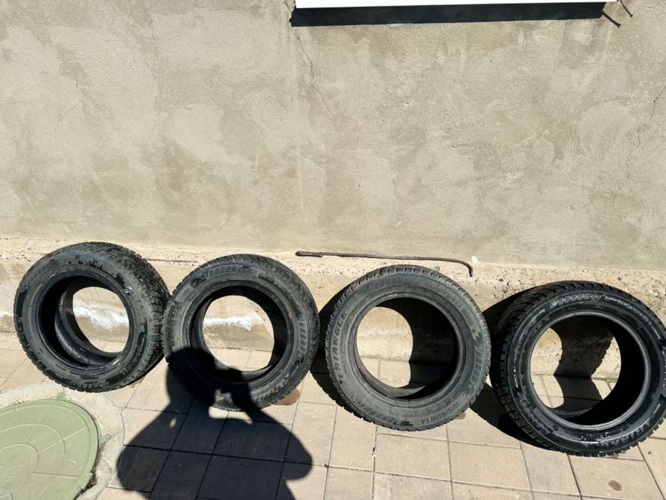 Зимняя резина шина Triangle