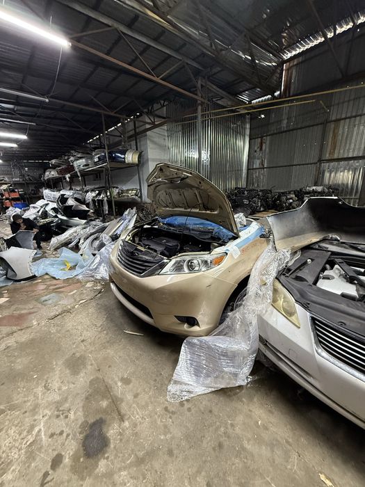 Сиенна авторазбор морда