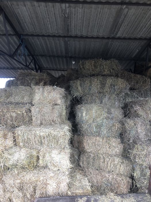 Baloti de fân ( semanatura si fân de coasta)