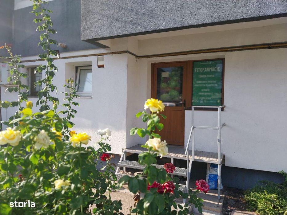 Spatiu comercial Pta Mihai Viteazul